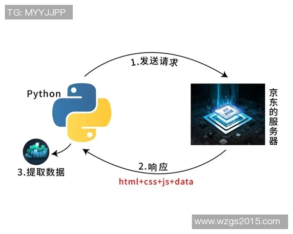 CSGO新手必看灵活性训练技巧与入门策略全解析