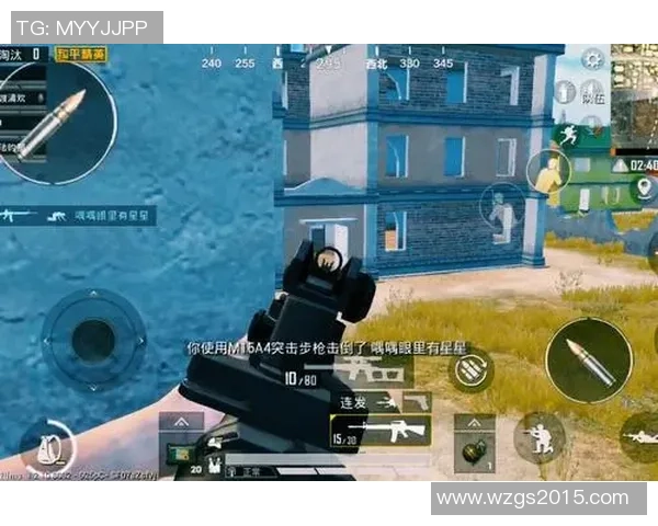 和平精英战术解析：WE战队如何构建强大的整体压制体系