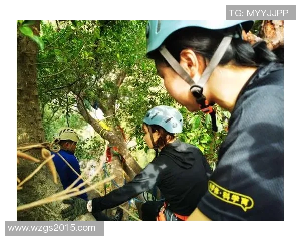 深圳攀岩队的区域防守策略解析与攀岩热点的深度探讨